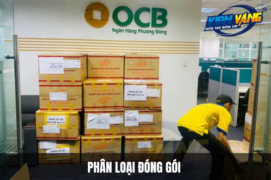 Phân loại đóng gói