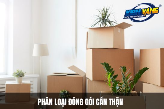 Phân loại đóng gói